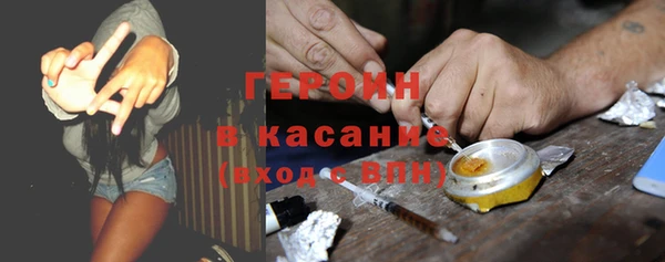 индика Алзамай