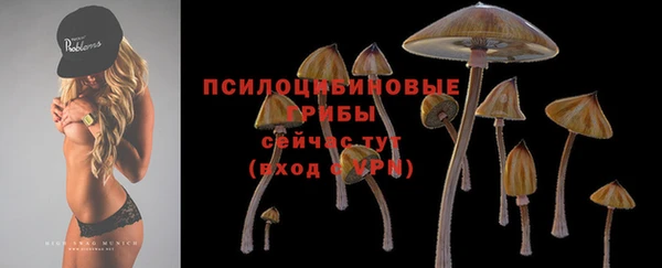 первитин Арсеньев