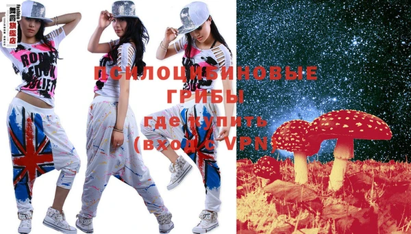 крисы Новый Уренгой