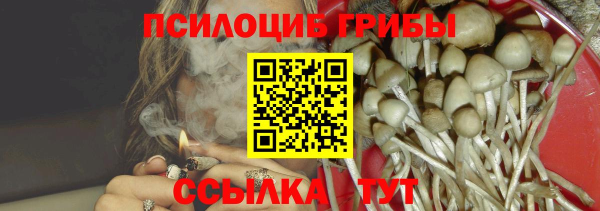 Псилоцибиновые грибы Psilocybine cubensis Дзержинский