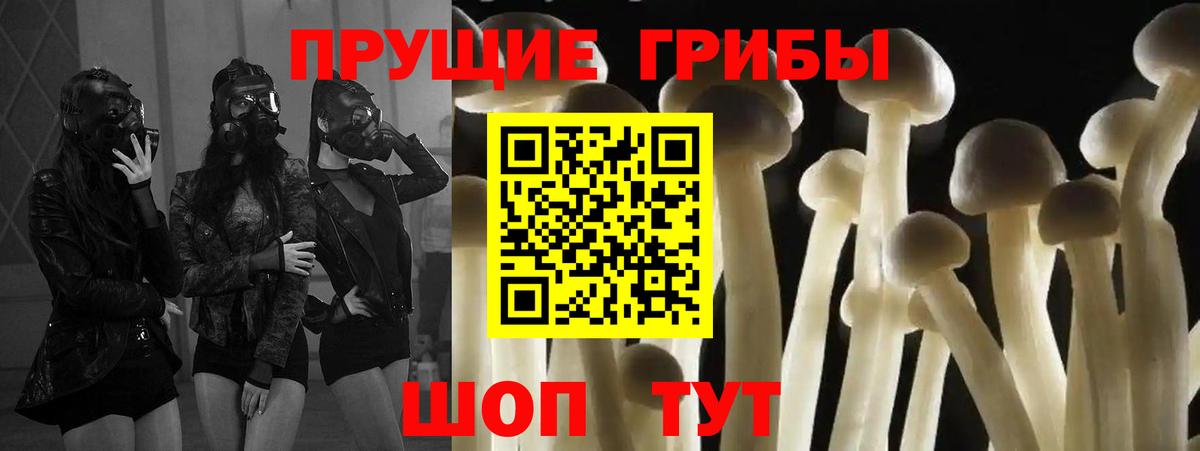 Псилоцибиновые грибы мицелий  Галлюциногенные грибы ЛСД  Дзержинский  Вход с VPN 